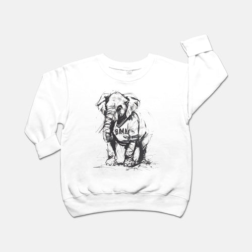 Toddler Painted Big Al Sweatshirt